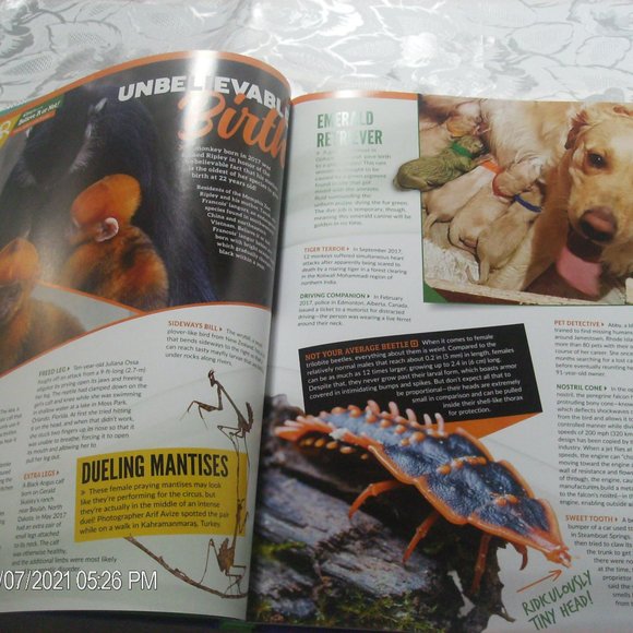 Ripley's Believe it or not 2019 Hardcover - Picture 9 of 12